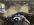 IMG_0883.jpeg