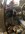 IMG_9622.jpeg