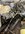 IMG_9623.jpeg