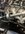 IMG_9624.jpeg