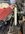 IMG_9625.jpeg