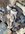 IMG_6248.jpeg