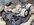 IMG_6250.jpeg