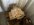 IMG_6252.jpeg