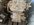 IMG_6255.jpeg