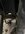IMG_9630.jpeg