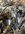 IMG_9631.jpeg
