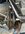 IMG_1641.jpeg