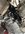 IMG_1644.jpeg