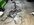 IMG_3454.jpeg