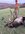 9F4AA73D-A4E8-40CC-87F2-1ED2AFF34BDB.jpeg