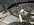 IMG_1745.jpeg
