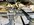 IMG_1362.jpeg