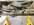 IMG_1361.jpeg
