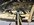 IMG_1359.jpeg