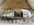 IMG_0933.jpeg