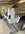 IMG_0950.jpeg