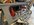 IMG_1704.jpeg
