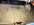 IMG_5309.jpeg