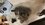 8E1612F0-5E9D-44F4-91A4-6E5775DAD532.jpeg