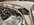 IMG_1005.jpeg