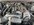IMG_1020.jpeg