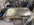 IMG_1042.jpeg