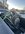 IMG_2195.jpeg