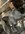 IMG_2201.jpeg