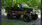 IMG_8963.jpeg