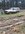 IMG_2961_Original.jpeg
