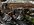 IMG_3480.jpeg