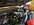 IMG_3481.jpeg
