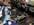 IMG_3489.jpeg