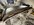 IMG_1114.jpeg