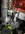 IMG_3491.jpeg