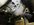 IMG_3497.jpeg