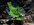 IMG_3498.jpeg