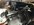 IMG_3509.jpeg