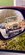 IMG_3715.jpeg