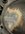 IMG_2227.jpeg