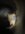 IMG_2228.jpeg