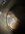IMG_2226.jpeg