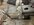 IMG_9701.jpeg