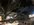 IMG_9703.jpeg