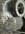 IMG_1811.jpeg