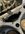 IMG_2235.jpeg