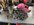 IMG_1813.jpeg