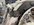 IMG_1135.jpeg