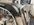 IMG_1134.jpeg